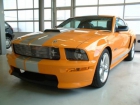 2008 Ford Mustang Shelby 350 GT-C - mejor precio | unprecio.es