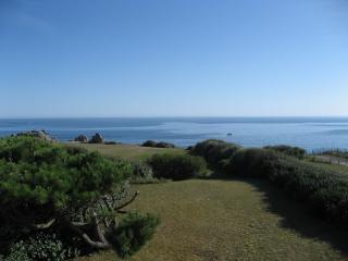 Villa : 8/10 personas - junto al mar - vistas a mar - plobannalec-lesconil  finisterre  bretana  francia