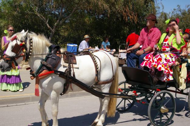 Vendo caballo de raza petrén.