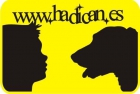 www.hadican.es // Cachorritos de diferentes razas con la Mejor Calidad - mejor precio | unprecio.es