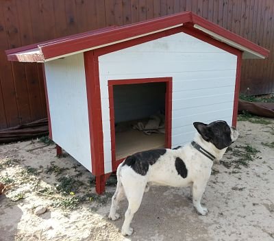 Casetas para perros y mascotas