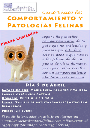 CURSO SOBRE COMPORTAMIENTO FELINO