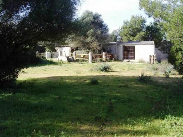 Terreno/Finca Rstica en venta en Muro, Mallorca (Balearic Islands)