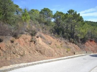 Terreno se vende en Benahavis, Costa del Sol