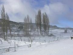 SE VENDEN TERRENOS RUSTICOS EN LA SIERRA DE ALBACETE