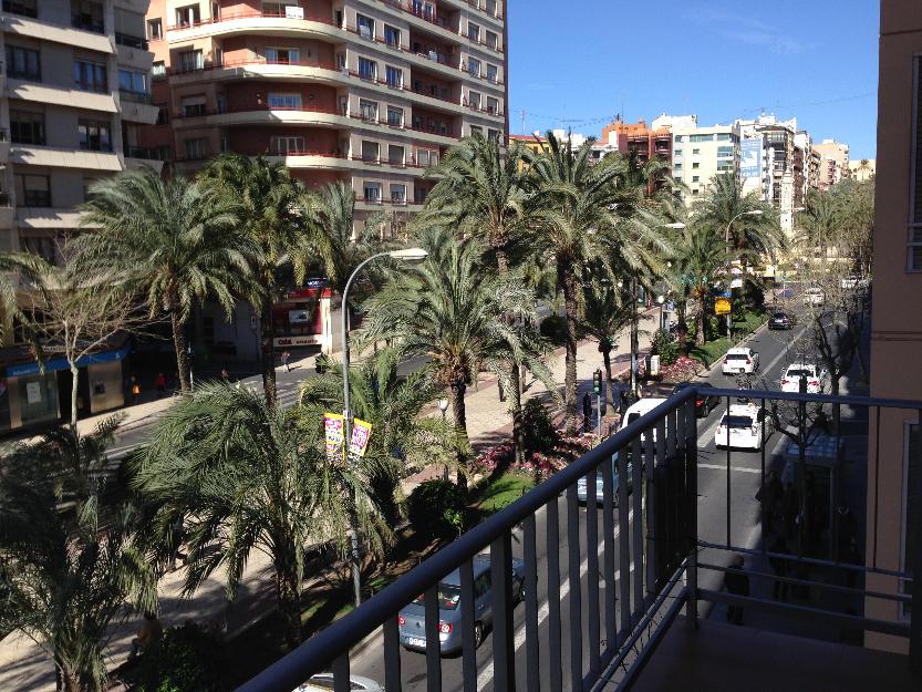 Centro Alicante: Oficinas en Federico Soto