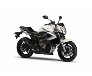 YAMAHA XJ 600 DIVERSION S-N