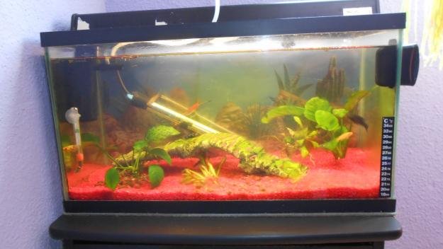 vendo acuario 50 litros 50 euros