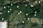 BATIDA DE JABALI EN LA FINCA DEHESA MONTEBLANCO S.L - mejor precio | unprecio.es