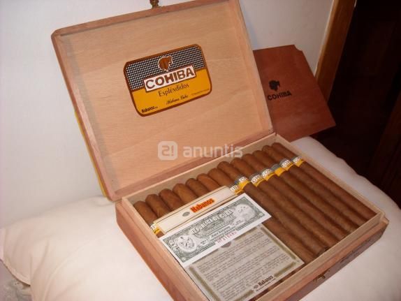 COHIBAS ROBUSTOS PUROS