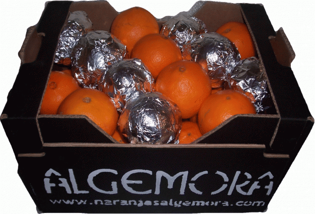 Naranjas Algenora -naranjas de valencia