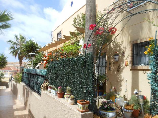 3b  , 2ba   in Villamartin,  Costa Blanca South   - 77500  EUR