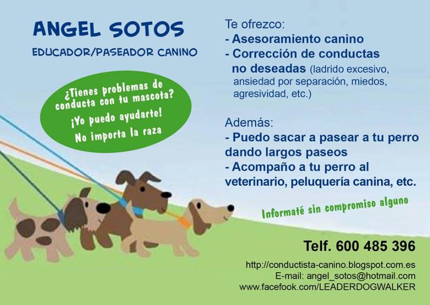 Angel Sotos Educador canino