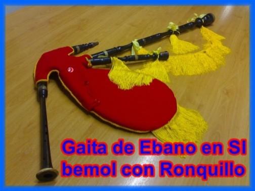 Vendo gaita de ebano en si bemol con ronqueta