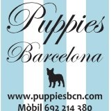 Puppies Bcn