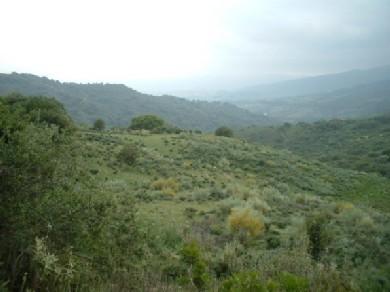 Terreno se vende en Cortes de la Frontera, Serrania de Ronda