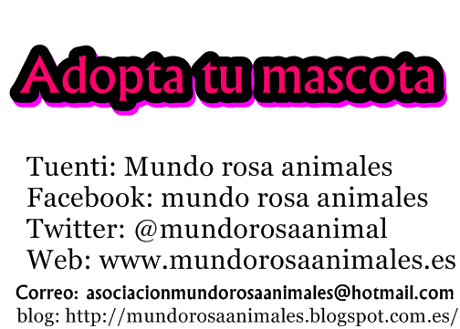 Adopta tu mascota con asociación mundo rosa animales