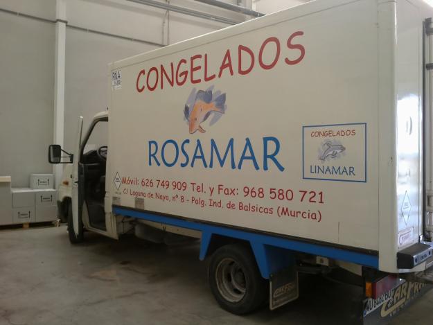 Vendo camion