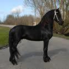 PRECIOSO CABALLO FRISON - mejor precio | unprecio.es