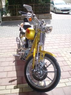 VENDO HARLEY DAVIDSON Screamin' Eagle® Springer 2007