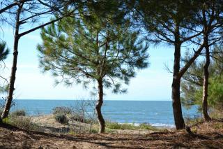 Apartamento en residencia : 2/5 personas - piscina - junto al mar - agde  herault  languedoc-rosellon  francia