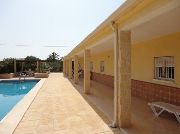 crevillente   - Finca - crevillente - CG4707   - 4 Habitaciones   - €299000€