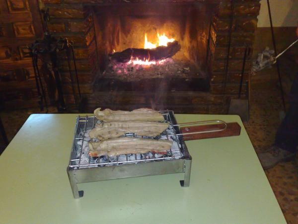 FANTASTICA PARRILLA INDIVIDUAL