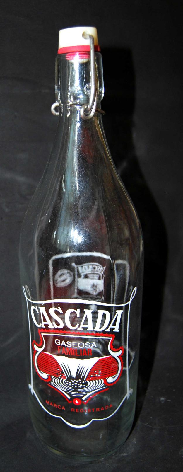 Botella de gaseosa cascada completa