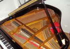 Vendo Piano de Cola Young-Chang, modelo G-157 - mejor precio | unprecio.es