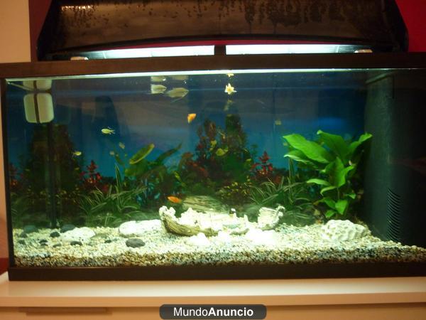 Acuario con accesorios