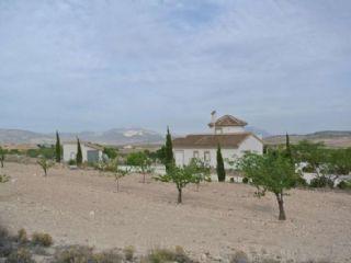 Terreno/Finca Rstica en venta en Jumilla, Murcia (Costa Cálida)