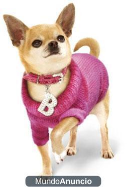 tienda web moda canina www.elperritofashion.com