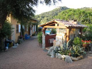 Estudio : 2/3 personas - piscina - porto vecchio  corcega del sur  corcega  francia