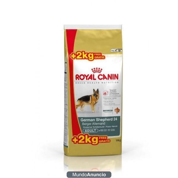 Pastor aleman Adulto pienso Royal Canin económico 12kg