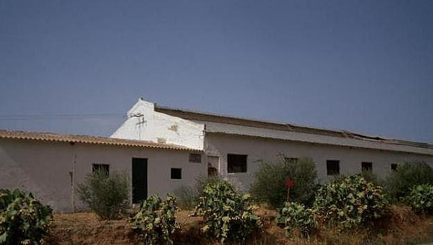 Finca rústica en Campillos