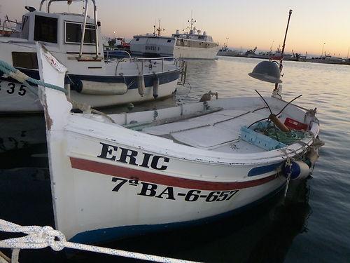 Barcos de pesca,,,,,