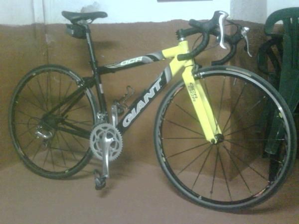 bicicleta carretera giant 599 euros chollazo