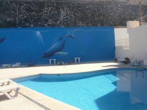 2b  , 2ba   in Chayofa,  Canary Islands   - 215000  EUR