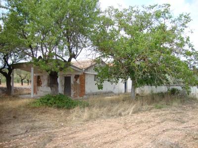 in Ayora,  Valencia And Costa del Azahar   - 75000  EUR