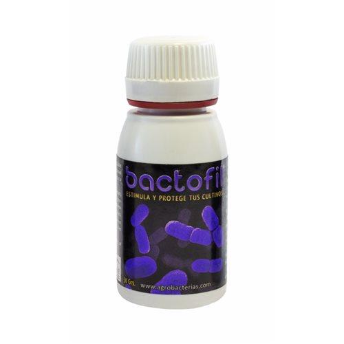 Bactofil