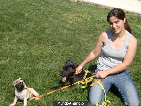 CANGURO DE MASCOTAS VERANO Y VACACIONES!!!