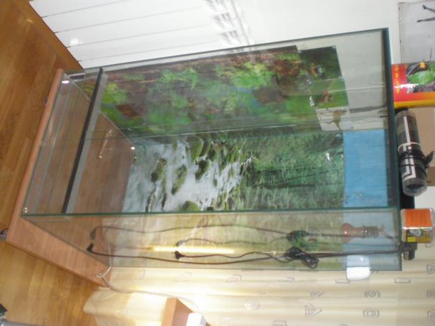 vendo terrario 120 x 60 x 60 cm