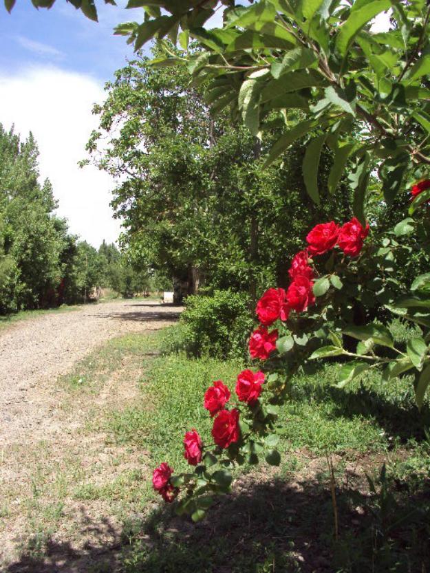 Finca rural en la Patagonia Argentina ¡Ideal agroturismo!