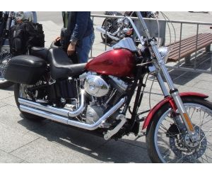 HARLEY DAVIDSON FXST SOFTAIL STANDARD