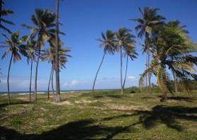 terreno en el paraiso