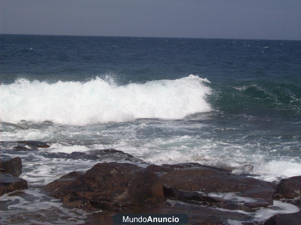 caña de pesca