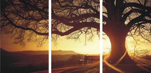 Triptico arbol atardecien​​do en papel fotografic​​o (62x124 cm)