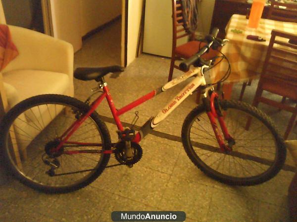 Vendo Bicicleta económica!!