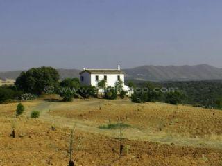 Finca/Casa Rural en venta en Loja, Granada (Costa Tropical)