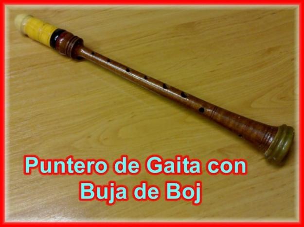 Vendo Puntero de Gaita con Buja de Boj